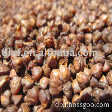 Roasted /cooked Buckwheat kernels